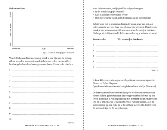 8-ernohannink-handboek-hyperspecialisatie