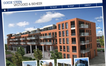 1-goede-steen-website