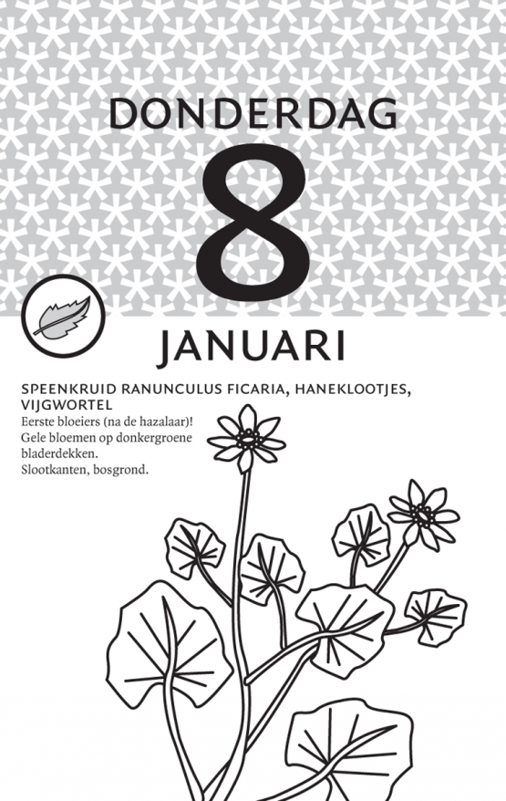 03 ykr homeopathie kalender