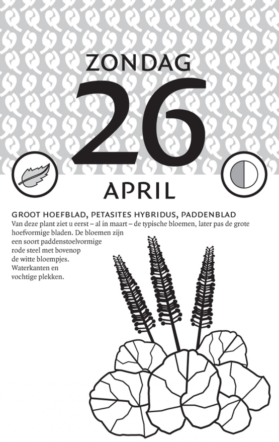11 ykr homeopathie kalender
