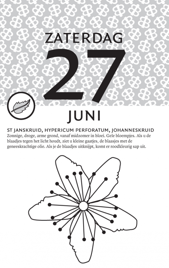 15 ykr homeopathie kalender