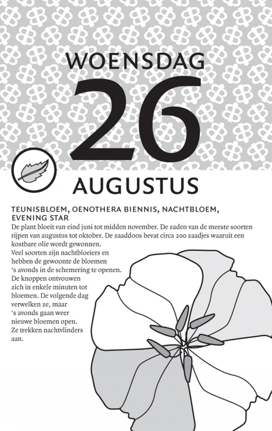 16 ykr homeopathie kalender