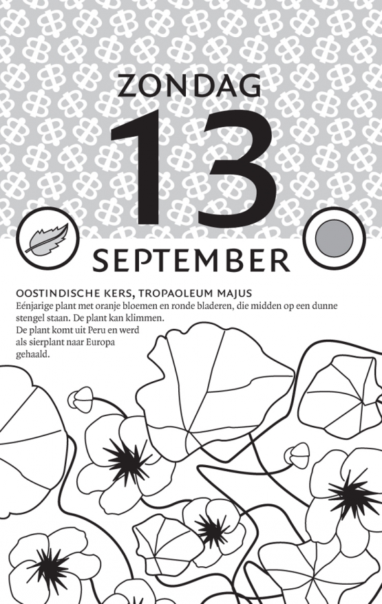 18 ykr homeopathie kalender