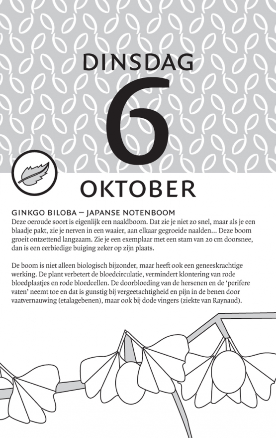 19 ykr homeopathie kalender