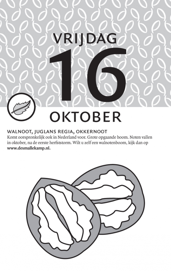 20 ykr homeopathie kalender