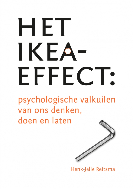 3-solidprofessionals-ikeaeffect