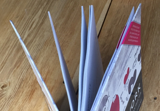 04-boek-de lange-ros