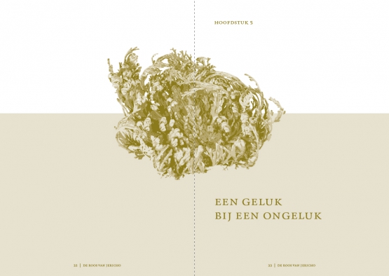 boek-roosvanjericho-10