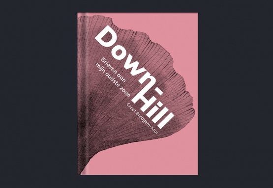 boek-downhill-greet-breugem-Krol-02