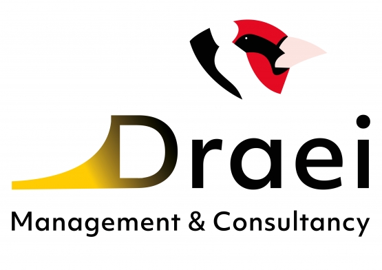 logo-Draei-Management -Consultancy-02