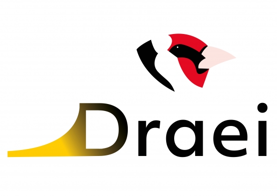 logo-Draei-Management -Consultancy-03