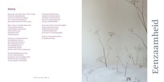 verdriet-is-als-een-egel-gerard-van-midden-05