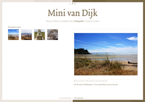 5-minivandijk-website